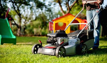 Precision Green Crafting Wonders with Top Tier Lawn Care and Landscaping