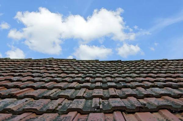 The Benefits of Professional Roof Replacement in Chesapeake