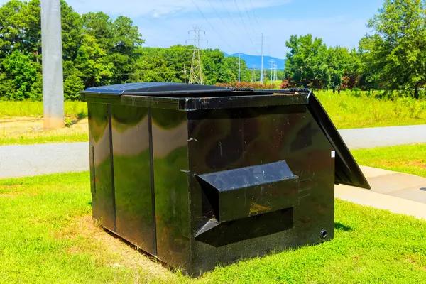 Eco-Friendly Waste Disposal with Dumpster Rentals